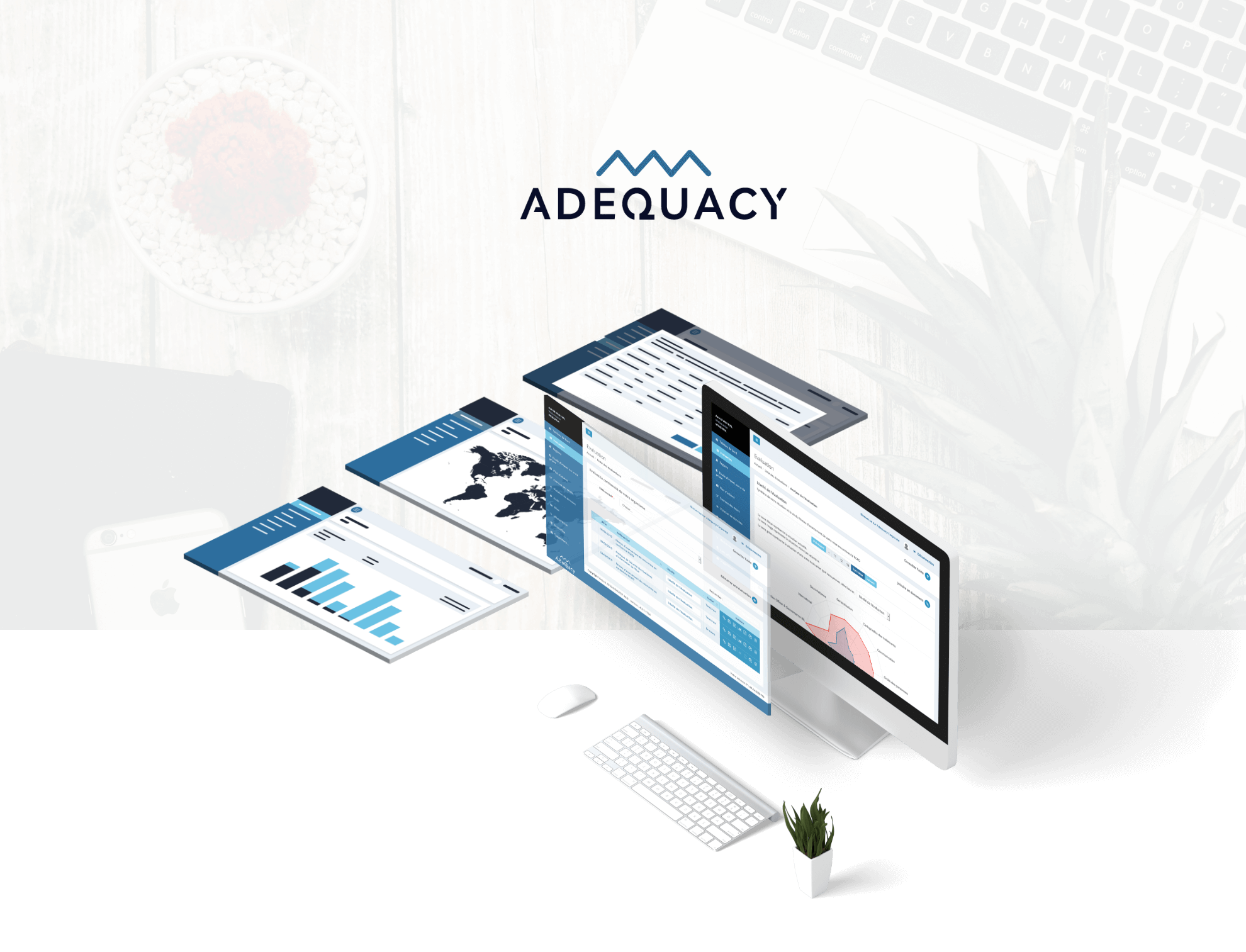 intro adequacy