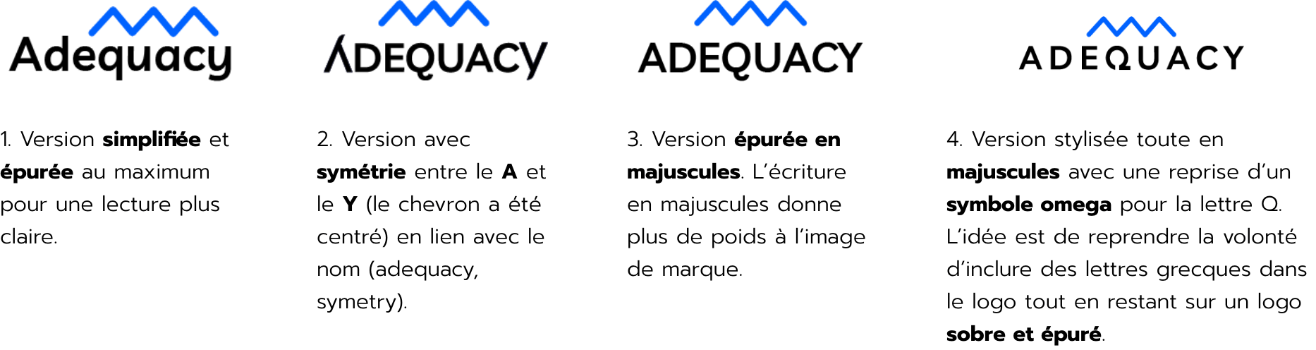 refonte logo adequacy icotype